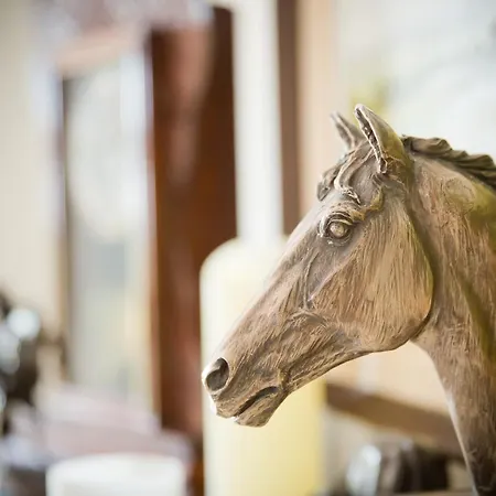 Cahergal Bed & Breakfast