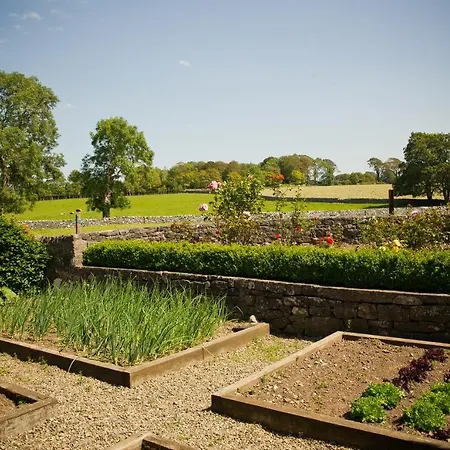 Cahergal Bed & Breakfast 4*