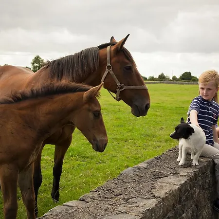Cahergal Bed & Breakfast 4*