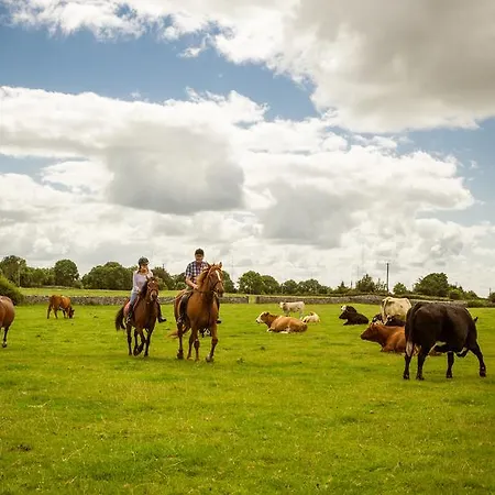 Cahergal 4* Newmarket-on-Fergus