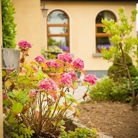 Cahergal Newmarket-on-Fergus