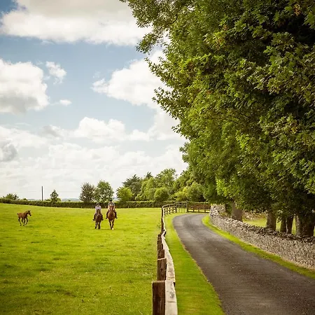 Cahergal 4* Newmarket-on-Fergus