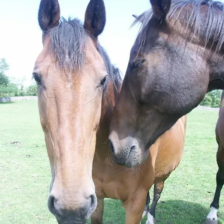Bed & Breakfast Cahergal