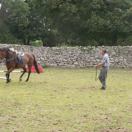 Bed & Breakfast Cahergal Newmarket-on-Fergus